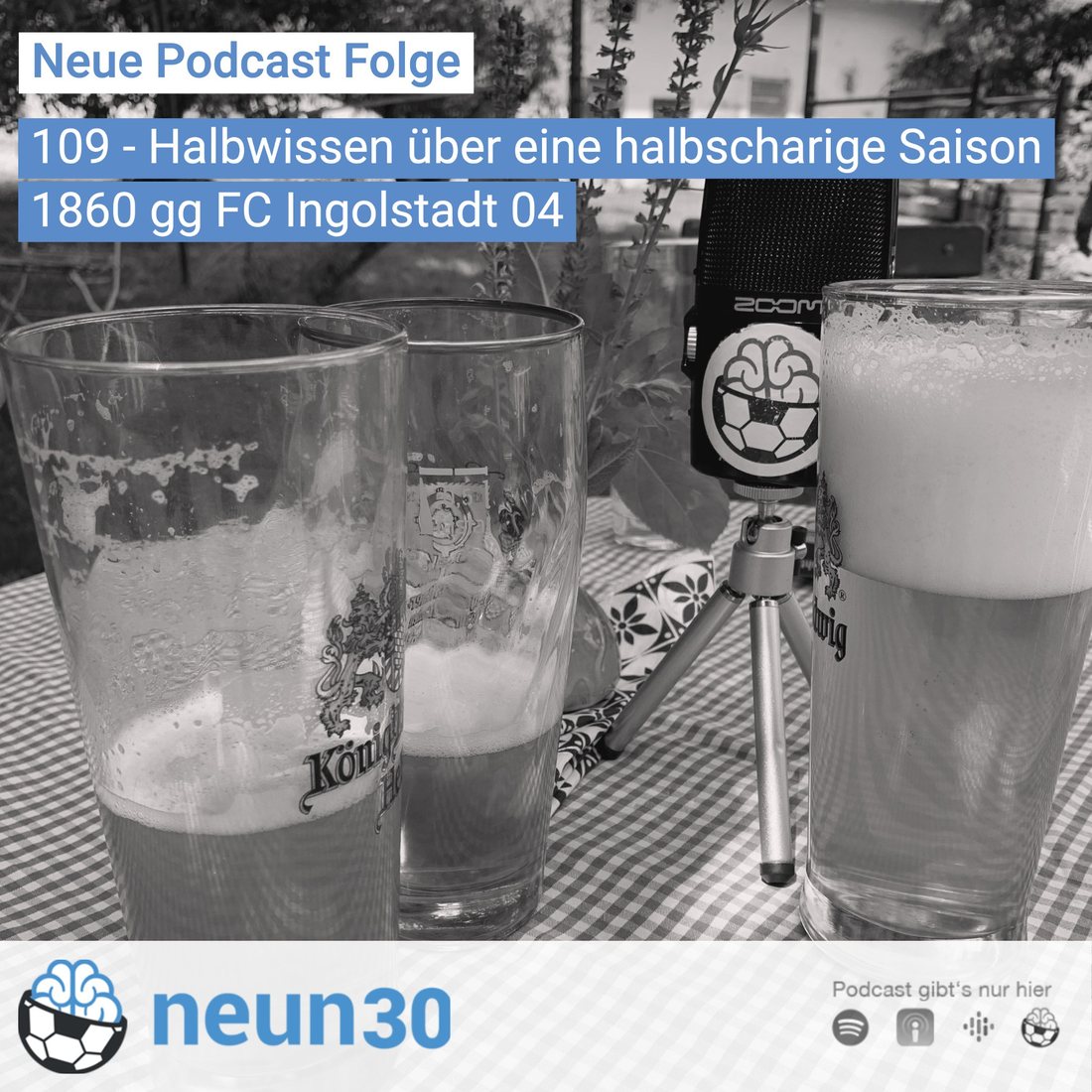 Halbwissen über  eine halbscharige Saison
