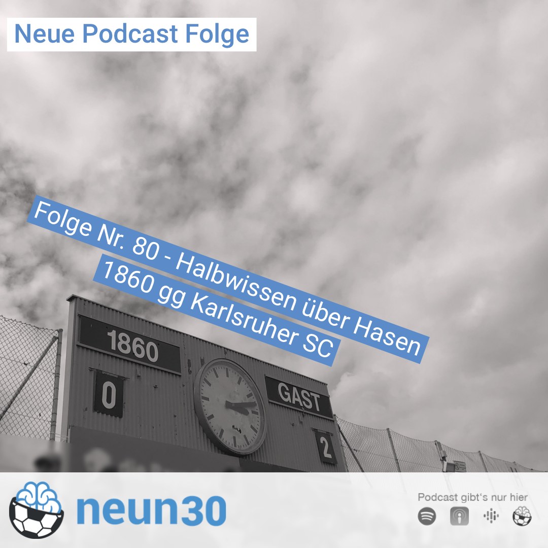 Halbwissen über Hasen